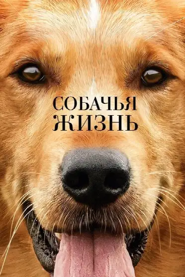 Собачья жизнь