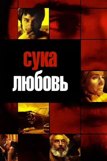 Сука-любовь