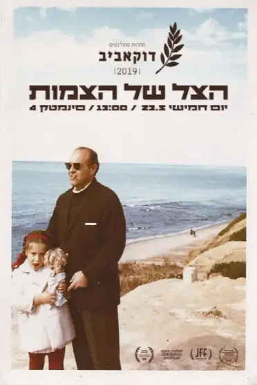 The Silhouette of Braids