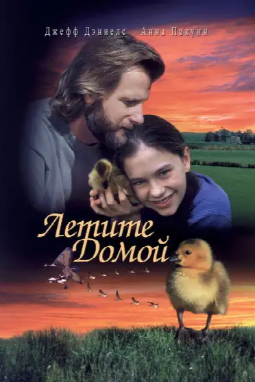 Летите домой