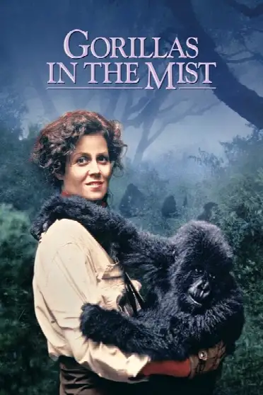 Гориллы в тумане