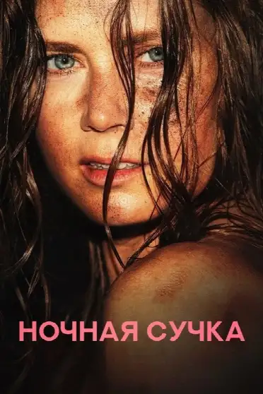 Ночная сучка