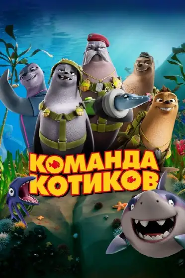 Команда котиков