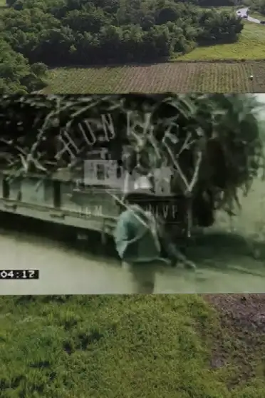 Sweetness in Abundance Everywhere