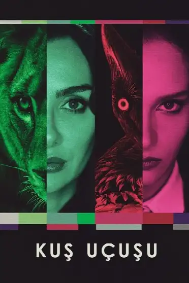 Полет птицы