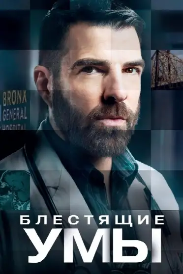 Блестящие умы