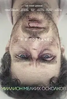 Миллион мелких осколков