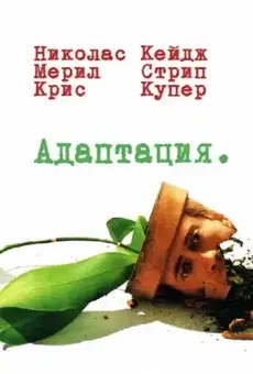 Адаптация