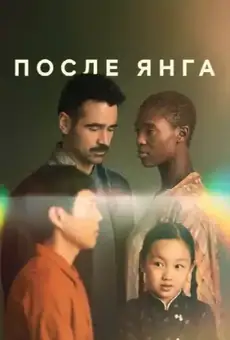 После Янга