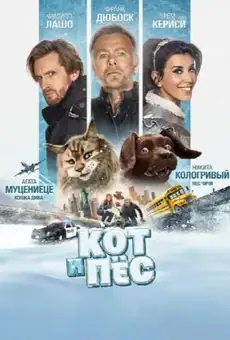 Кот и пёс