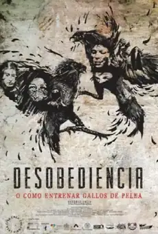 Desobediencia o cómo entrenar gallos de pelea