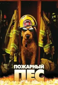 Пожарный пёс