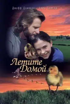 Летите домой