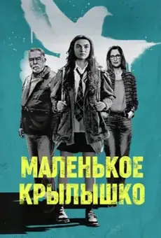 Маленькое крылышко
