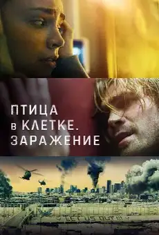 Птица в клетке. Заражение