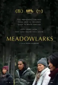 Meadowlarks