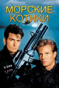 Морские котики