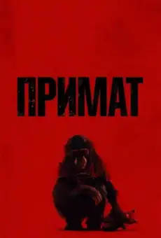 Примат