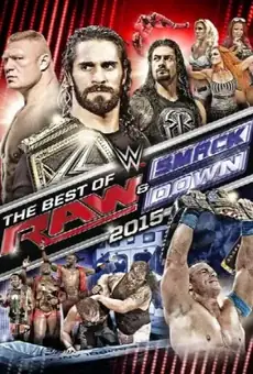 WWE The Best of Raw & SmackDown 2015