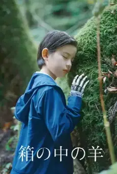 箱の中の羊