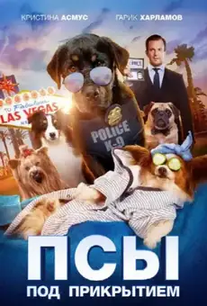 Псы под прикрытием