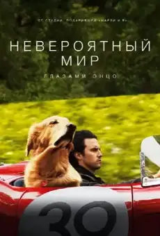 Невероятный мир глазами Энцо