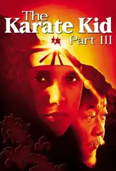 Парень-каратист 3