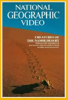 The Living Sands of Namib