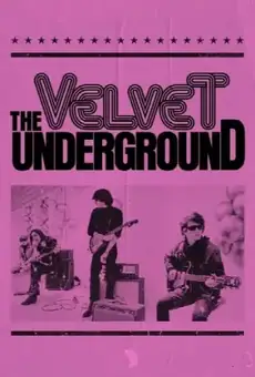 История The Velvet Underground