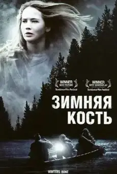 Зимняя кость