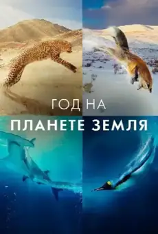 Год на планете Земля