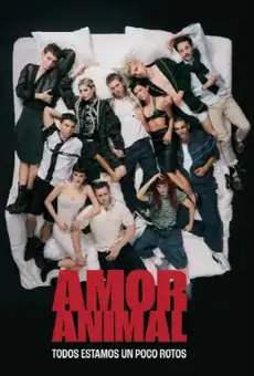 Amor animal