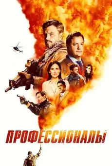 Профессионалы