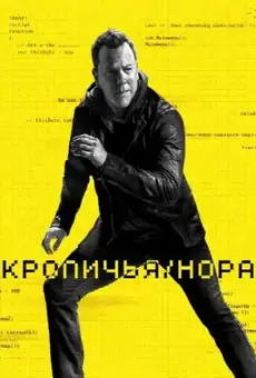 Кроличья нора