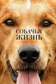 Собачья жизнь