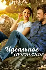 Идеальное сочетание