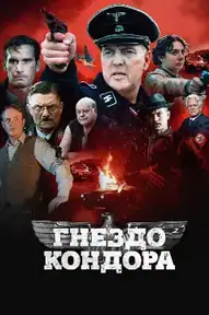 Гнездо кондора