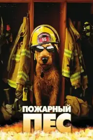 Пожарный пёс