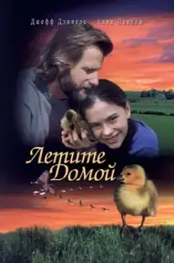 Летите домой