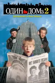 Один дома 2: Затерянный в Нью-Йорке