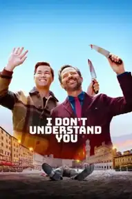 I Don't Understand You