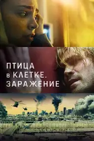 Птица в клетке. Заражение