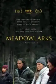 Meadowlarks