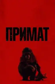 Примат
