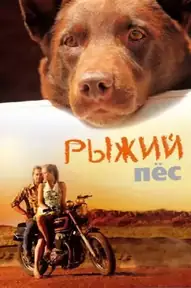 Рыжий пёс