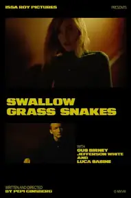 Swallow Grass Snakes