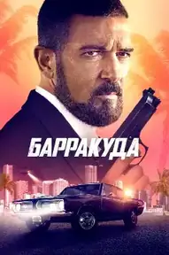 Барракуда