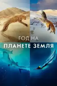 Год на планете Земля