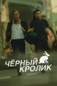 Черный кролик