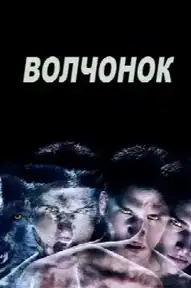 Волчонок